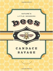 Bees: Nature's Little Wonders