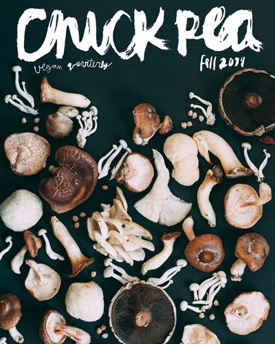 Chickpea Magazine, Fall 2014 (#13)
