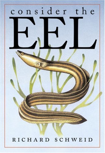 Consider The Eel
