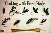 Cooking With Fresh Herbs