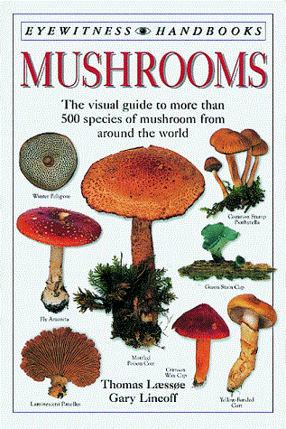 Eyewitness Handbooks - Mushrooms: The visual guide to more than 500 species of mushroom from around the world