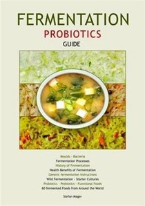 Fermentation Probiotics Guide