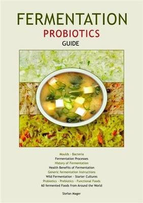 Fermentation Probiotics Guide