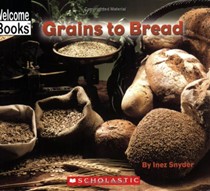 Grains To Bread