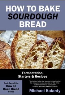 How to Bake Sourdough Bread / How To Bake MORE Bread: Fermentation, Starters and Recipes