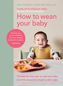 Starting Solids: The essential guide to your baby's first foods: Karmel,  Annabel: 9780756662141: : Books