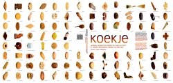 Koekje: Koekjes van Cees Holtkamp & Kees Raat