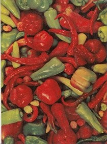Latin American Cooking (Foods of the World)