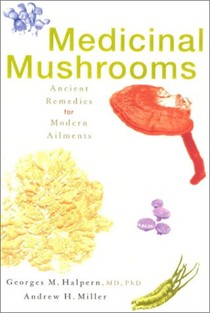 Medicinal Mushrooms: Ancient Remedies For Modern Ailments