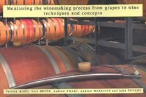 Monitoring the Winemaking Process from Grapes to Wine: Techniques and Concepts