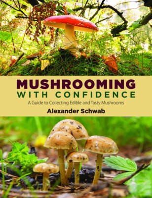 Mushrooming with Confidence: A Guide to Collecting Edible and Tasty Mushrooms