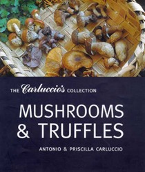 Mushrooms and Truffles