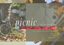 Picnic at Middleton Beach: A Taste of Albany's Most Beautiful Playground