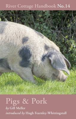 Pigs Pork River Cottage Handbook No 14 Eat Your Books