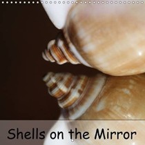Shells on the Mirror: Every Month Another Shell.