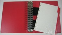 Ten Talents Deluxe Binder and Index Dividers Only
