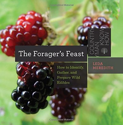 The Forager's Feast (Countryman Know How series): How to Identify, Gather, and Prepare Wild Edibles