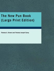 The New Pun Book
