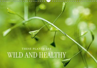 These Plants are Wild and Healthy: Edible Wild Plants: Fascinating, Healthy and Rich in Species.