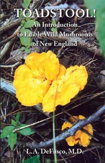 Toadstool!: An Introduction to Edible Wild Mushrooms of New England