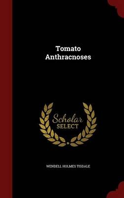 Tomato Anthracnoses