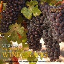 Vinifera 2009 Calendar: The World's Great Wine Grapes and Their Stories