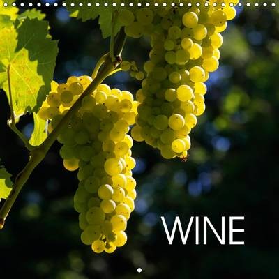 Wine: Colorful Images of Grapes and Wine Glasses